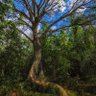 Фото профиля Karolina Jirafales 🌳🇵🇸