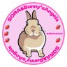 うさぎのそらチャン🐰@お世話係の母 的头像