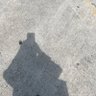 . profil fotoğrafı