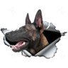 Profilbild von D-Rail