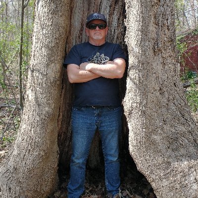 Audie Vickers's profile picture