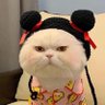 Profilbild von feng