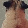 Profilbild von Sarita