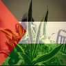 Sadia 🇵🇰🇵🇸 的头像