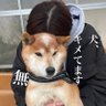 Фото профиля きのこ ぴとみん@🏂要冷蔵☃️