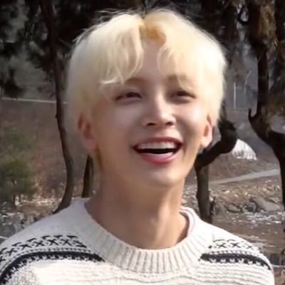 tiny jeonghan (usually)'s profile picture