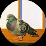 Profilbild von モブ鳩