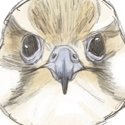 Gull_nest's profile picture