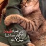 Фото профиля سميرة♈️