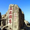 齐鲁青未了(互fo💯🇨🇳) profil fotoğrafı