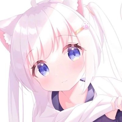 beibei's profile picture