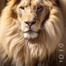 Profilbild von Kapetas95