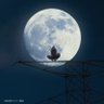 taizen's profile picture