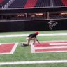 Profilbild von BDOG SPORTZ PAGE..ATL..(I TWEET IN ALL CAPS)