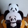 Profilbild von キョウコ