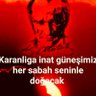 Фото профиля Brucecry