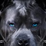 ๐ณ๏ธโ๐Abolfazlghgfg Reddio $ODY's profile picture