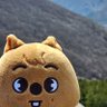 HAN사랑산악회 profil fotoğrafı