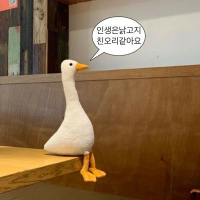 한량이 되고싶은 아리아's profile picture