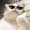 Profilbild von Chandan