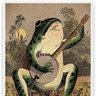 Banjo Frog 🇵🇷 profil fotoğrafı