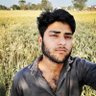 manish's profile picture