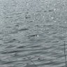 永远 的头像