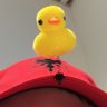 andi (e/alb)'s profile picture