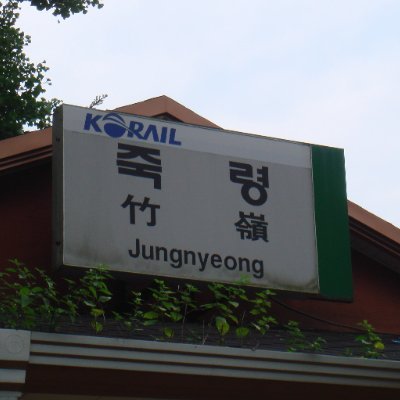Local_1221's profile picture