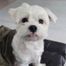 tin's profile picture