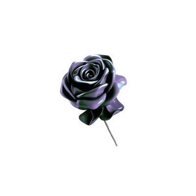 로즈's profile picture