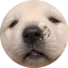 지지's profile picture