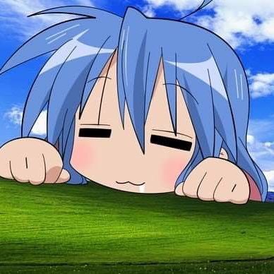 13kgcm's profile picture