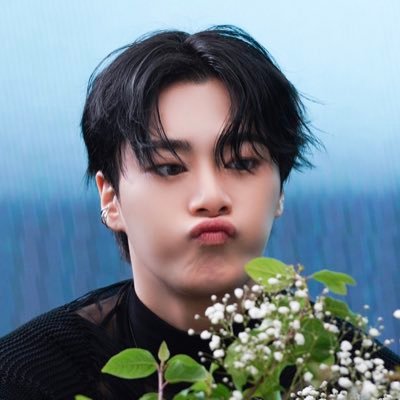 とらねこ빈✧✧・🌙's profile picture