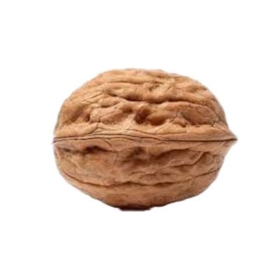 hoduent's profile picture