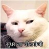 machalloy's profile picture