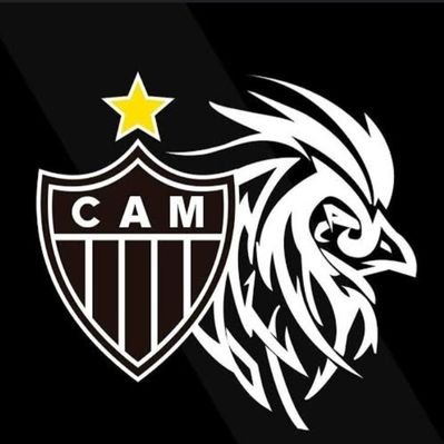WilsonRogrio2's profile picture