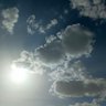 Sunrise Halawani's profile picture