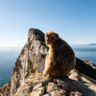 EL PEÑÓN DE GIBRALTAR's profile picture