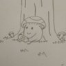 Profilbild von キノコのこ