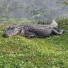 Btossi profil fotoğrafı