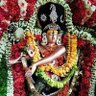 Tamilan 的头像