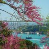 Alemdaroğlu_0606 profil fotoğrafı