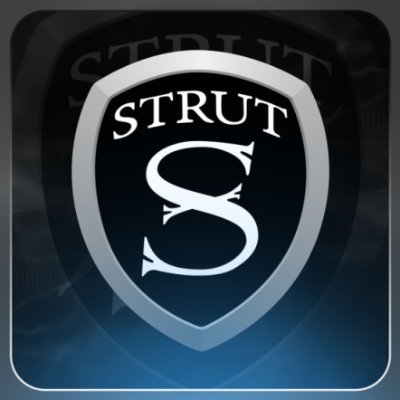 STRUTesportsHoM's profile picture