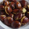 Jengkol's profile picture