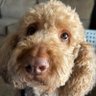 Profilbild von Geoff