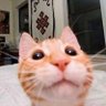 Фото профиля Sisi