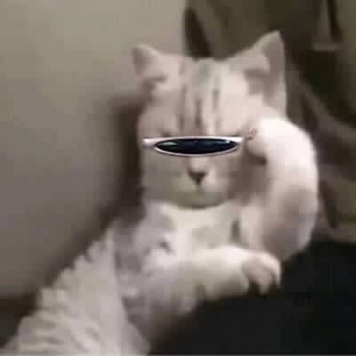 우째's profile picture
