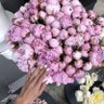 يـارا's profile picture