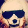 Takoyaki Donuts's profile picture